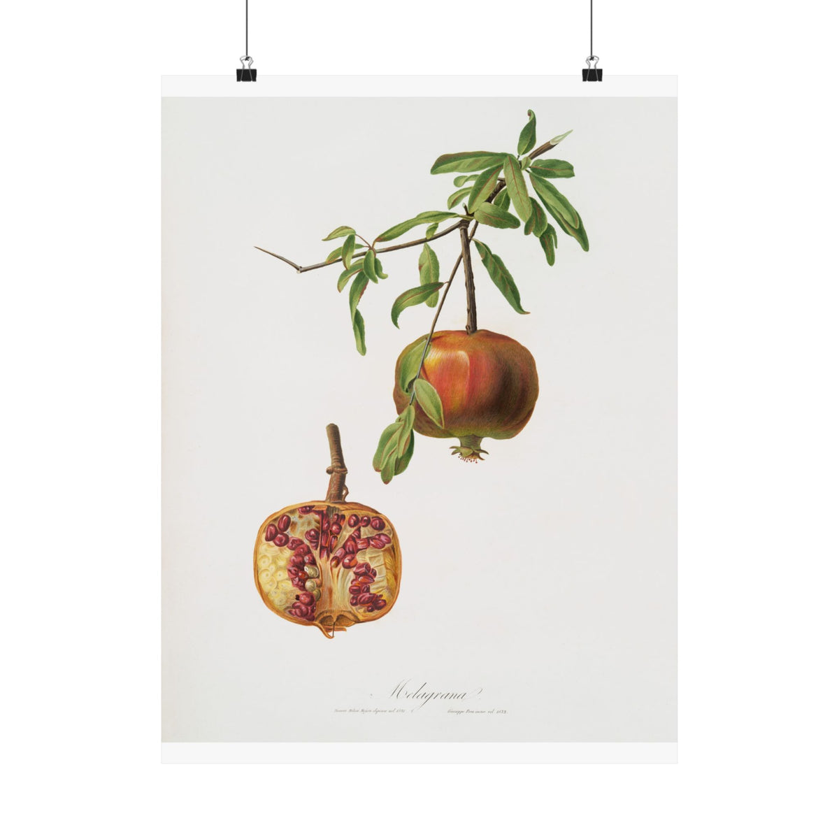 Matte Vertical Posters