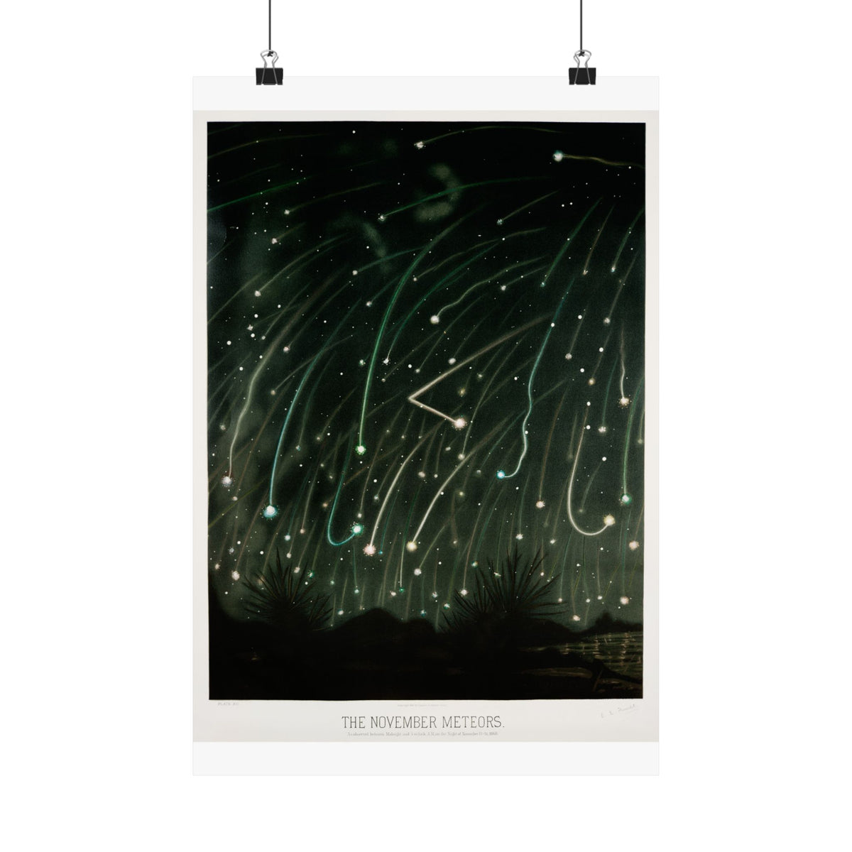 The November Meteors — Trouvelot, 1881 | Celestial Art Print