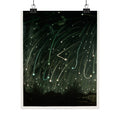 The November Meteors — Trouvelot, 1881 | Celestial Art Print