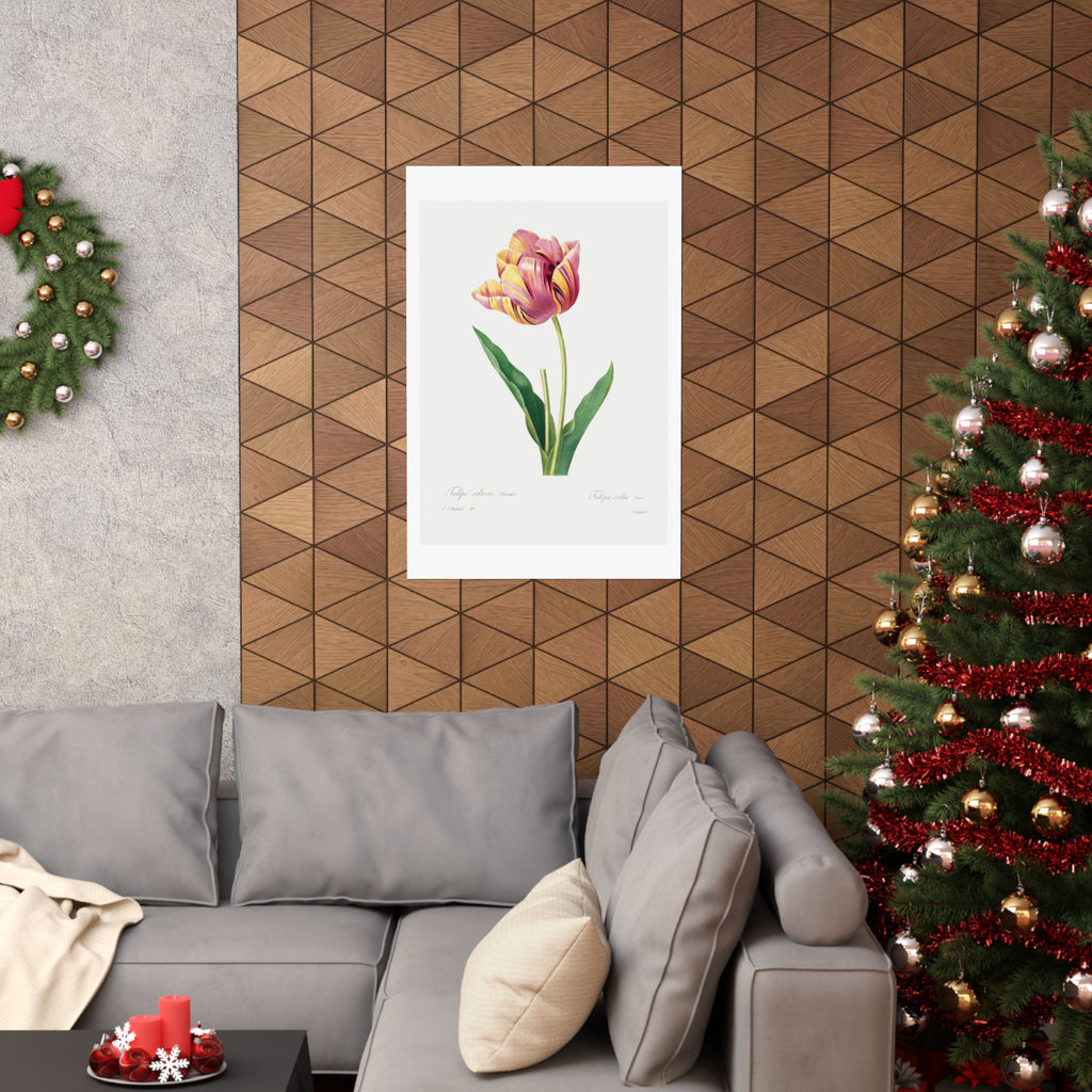 The Pomegranate — Antique Botanical Illustration | Botanical Art Print
