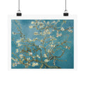 Almond Blossom — Vincent van Gogh, 1890 | Fine Art Print