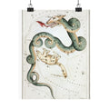 Draco and Ursa Minor — Urania's Mirror, 1824 | Celestial Art Print