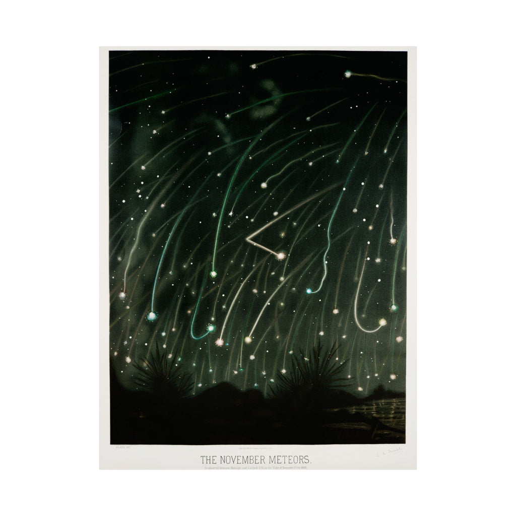 The November Meteors — Trouvelot, 1881 | Celestial Art Print