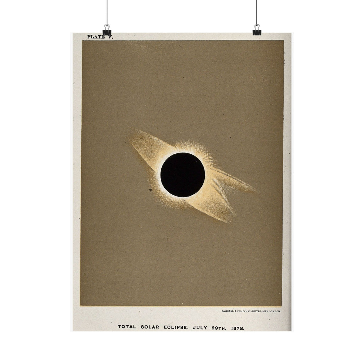 Total Solar Eclipse of 1878 — Trouvelot | Celestial Art Print