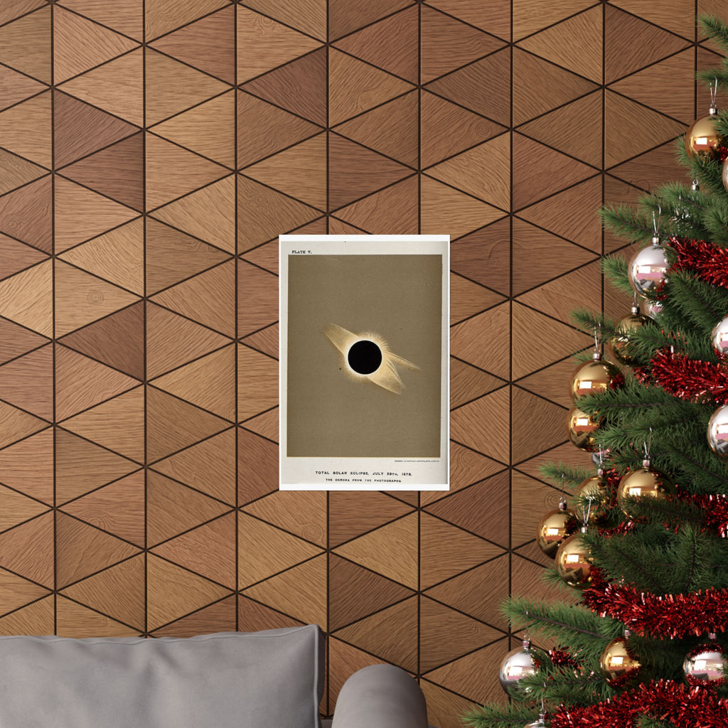 Total Solar Eclipse of 1878 — Trouvelot | Celestial Art Print