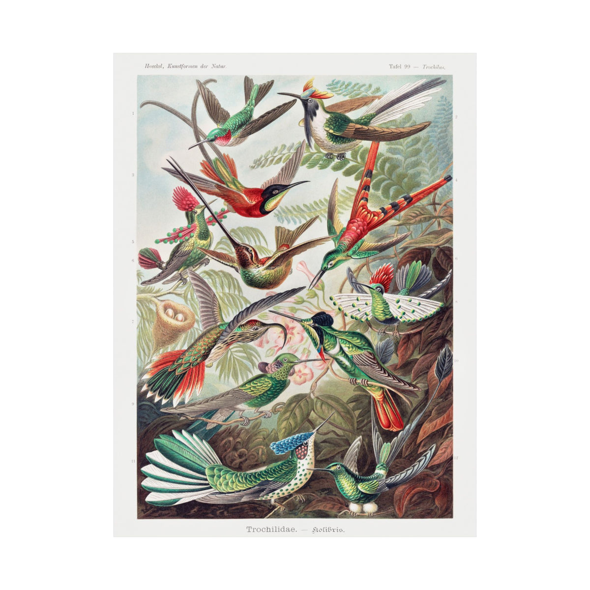 Matte Vertical Posters