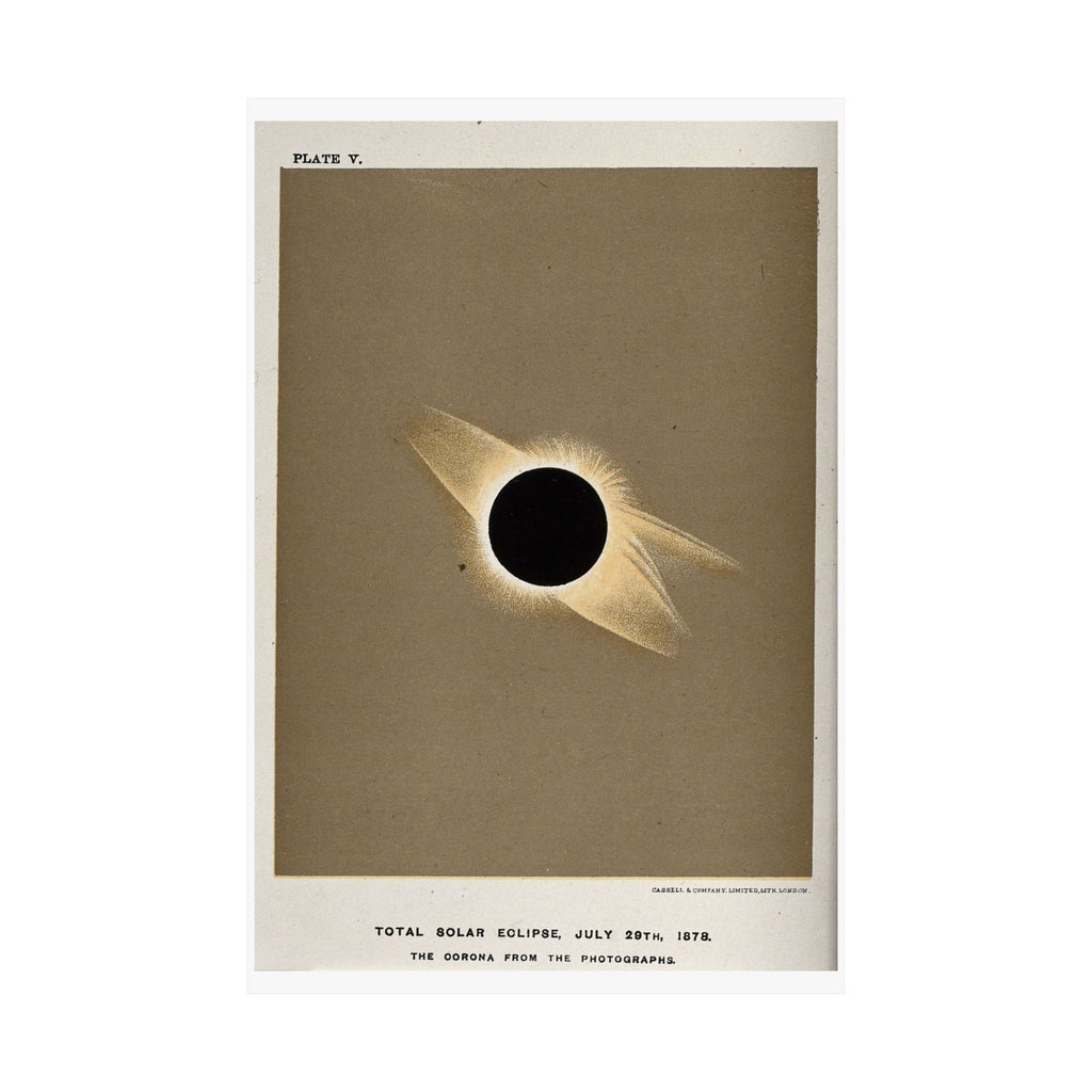 Total Solar Eclipse of 1878 — Trouvelot | Celestial Art Print