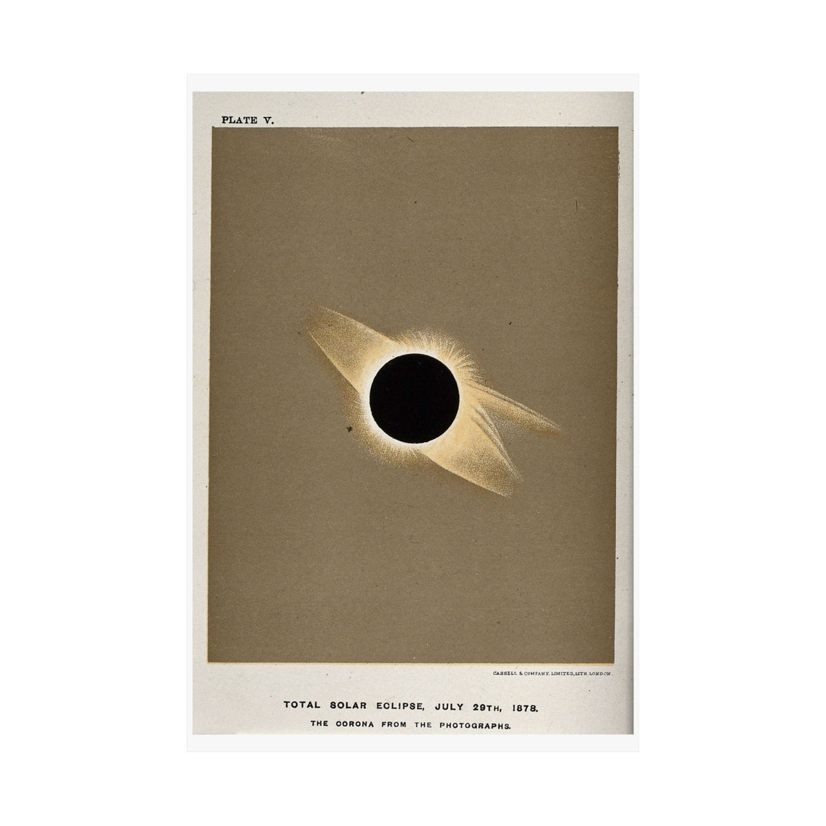 Total Solar Eclipse of 1878 — Trouvelot | Celestial Art Print