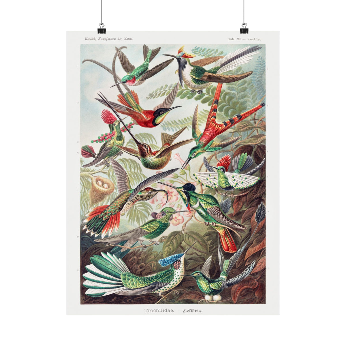 Matte Vertical Posters