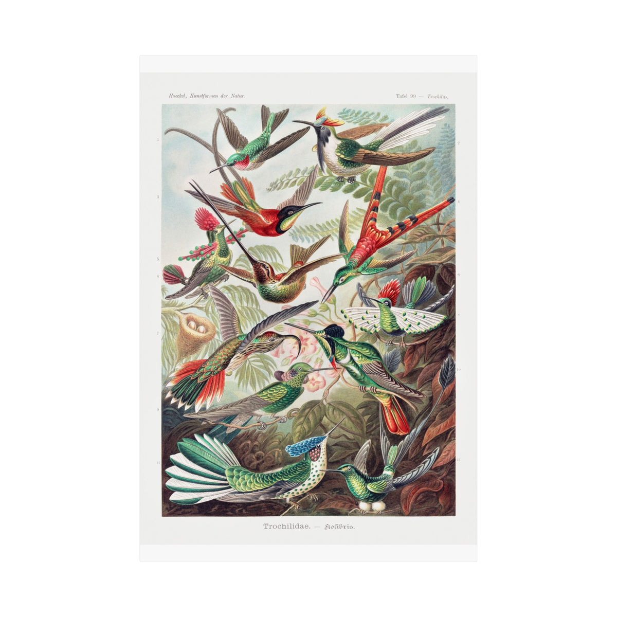 Matte Vertical Posters