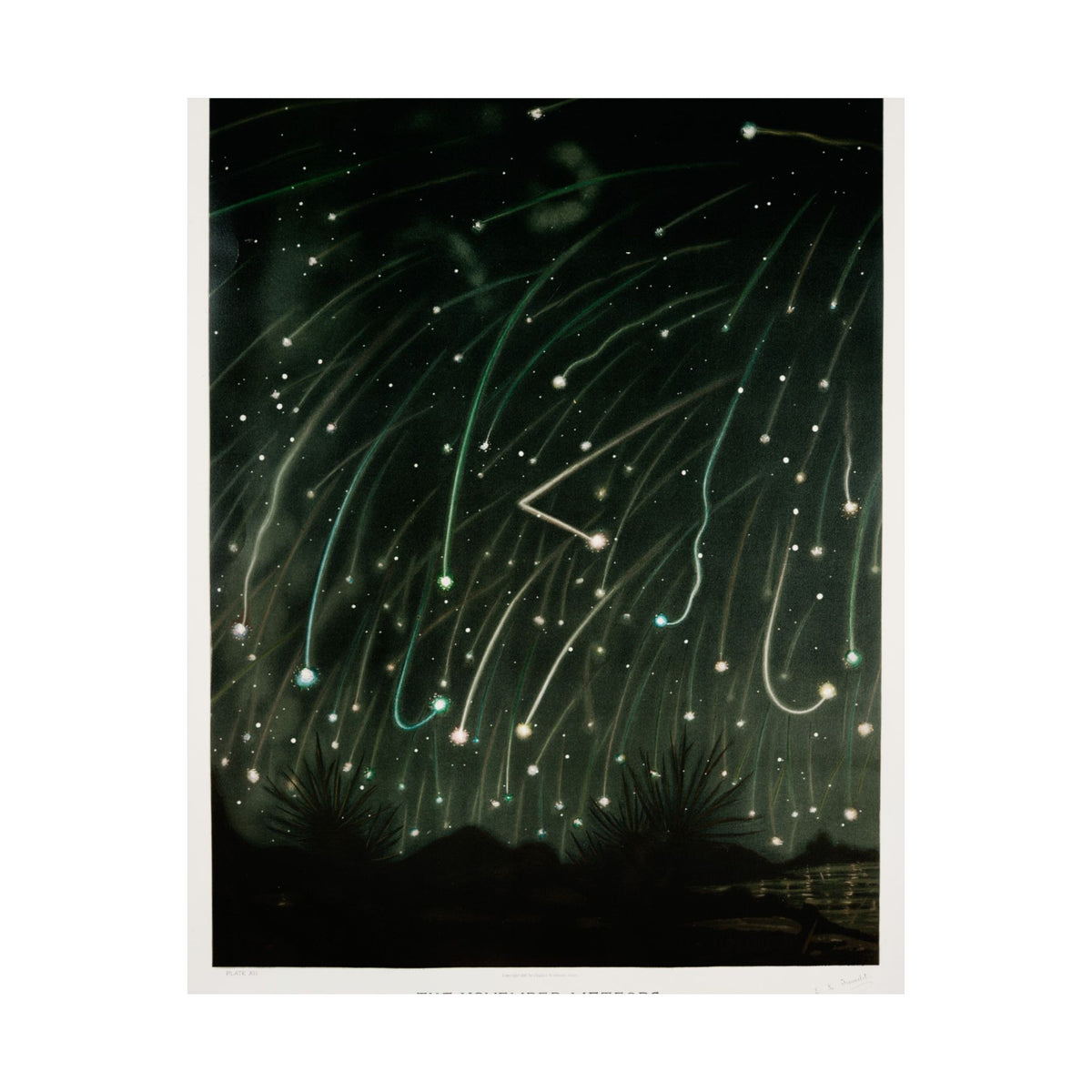 The November Meteors — Trouvelot, 1881 | Celestial Art Print