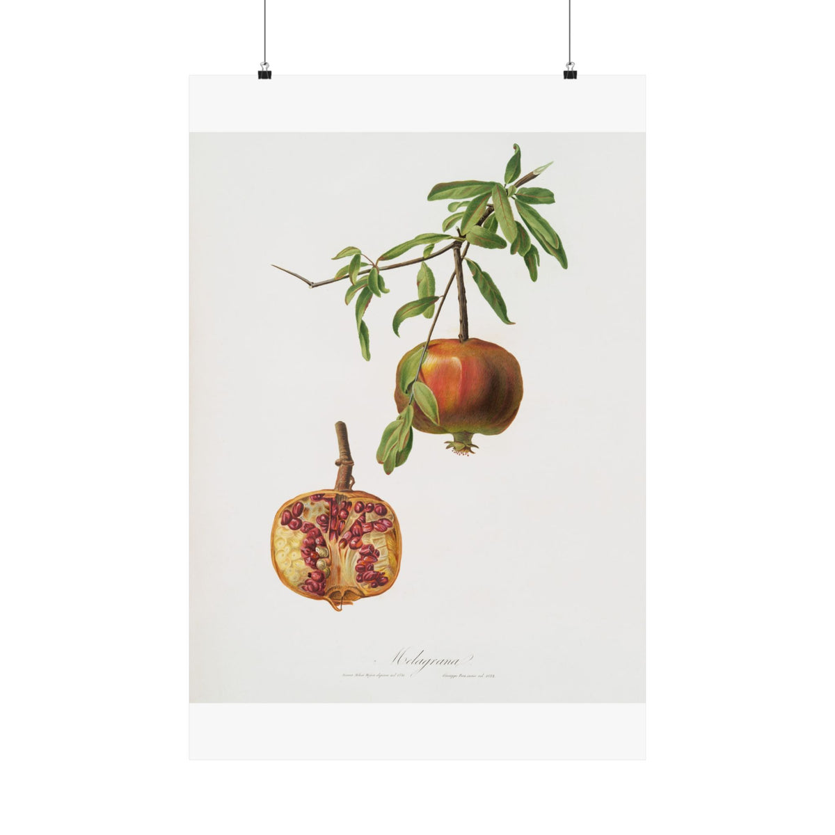 Matte Vertical Posters